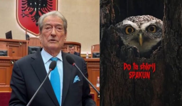 -800-0-1741009257xberisha-723