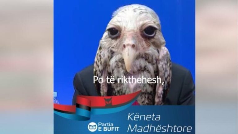 -800-0-1745846739xberishabug-820